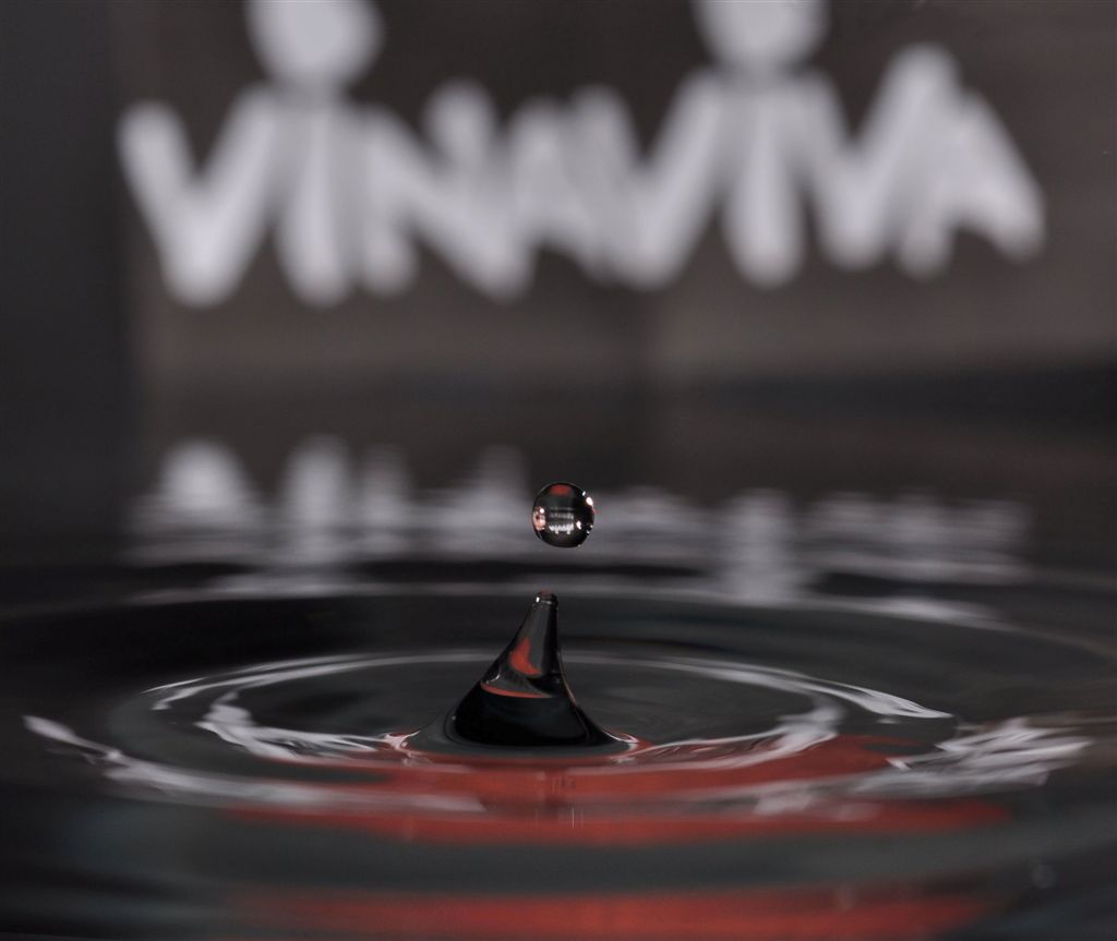 vinaviva 6297
